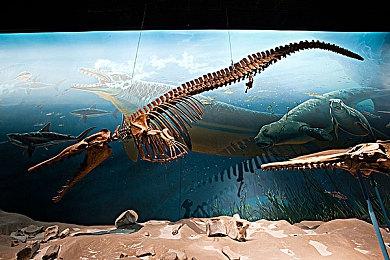 《僵尸世界大战 劫后余生》 将于1月24日登陆次世代平台